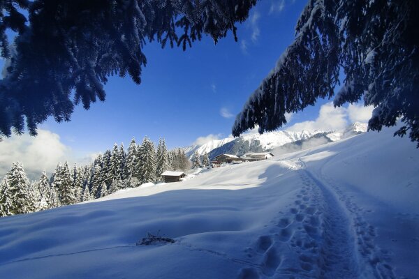 Ski-workshop Landschaft